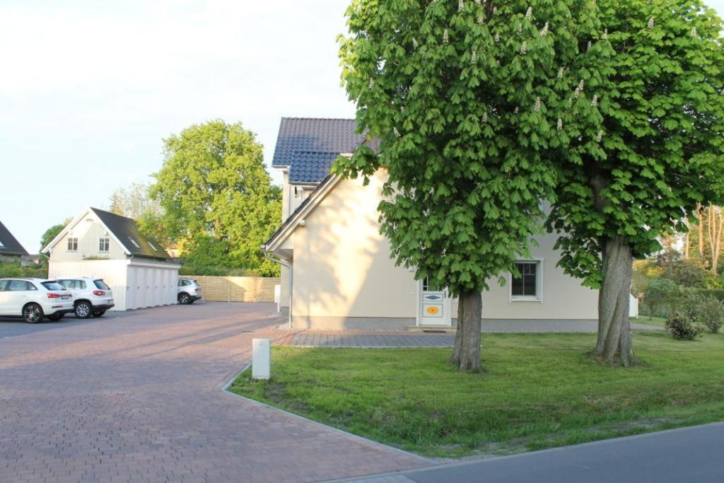 Neue Reihe 28 - Wohnung Vogelnest Zingst Exterior foto
